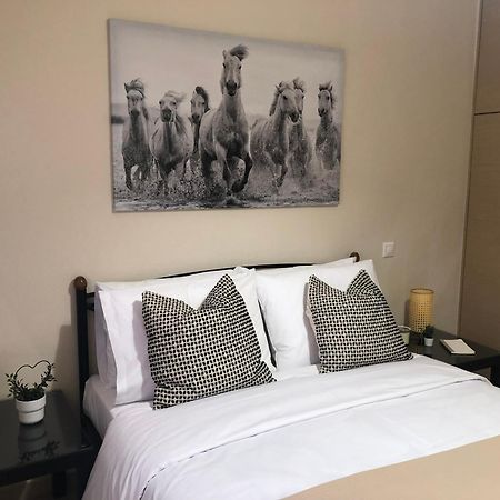 Homey Getaway Apartments, Aretousa Sitia Екстер'єр фото